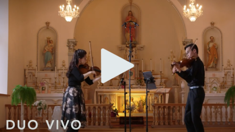 Violons amoureux Violons amoureux